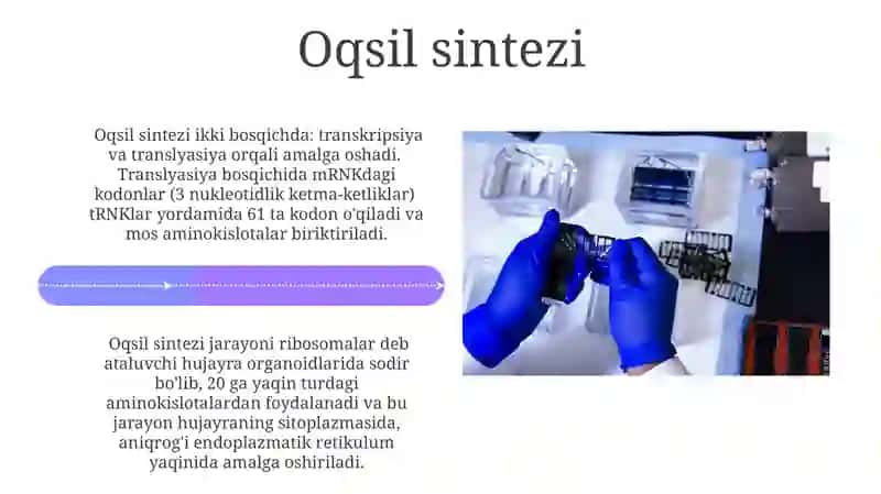 DNK TRANSLATSIYASI 4