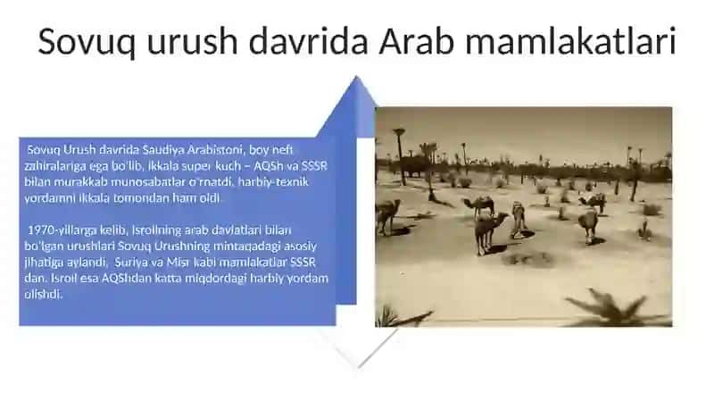 Arab mamlakatlari 20 asr ikkinchi yarmida 4