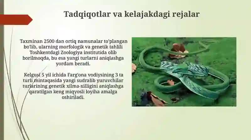Muhofaza qilish choralari va istiqbollari 4