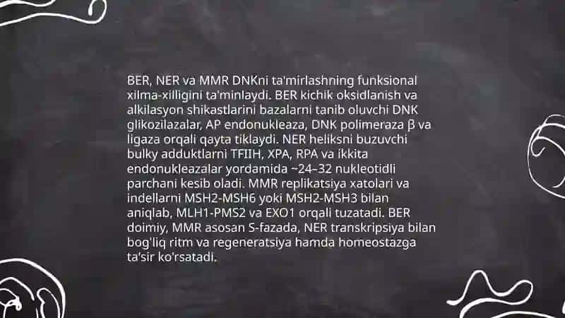 Reparatsiya fermentlari faoliyatining xilma-xilligi 4