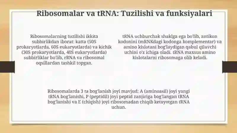 Oqsil biosintezi 4