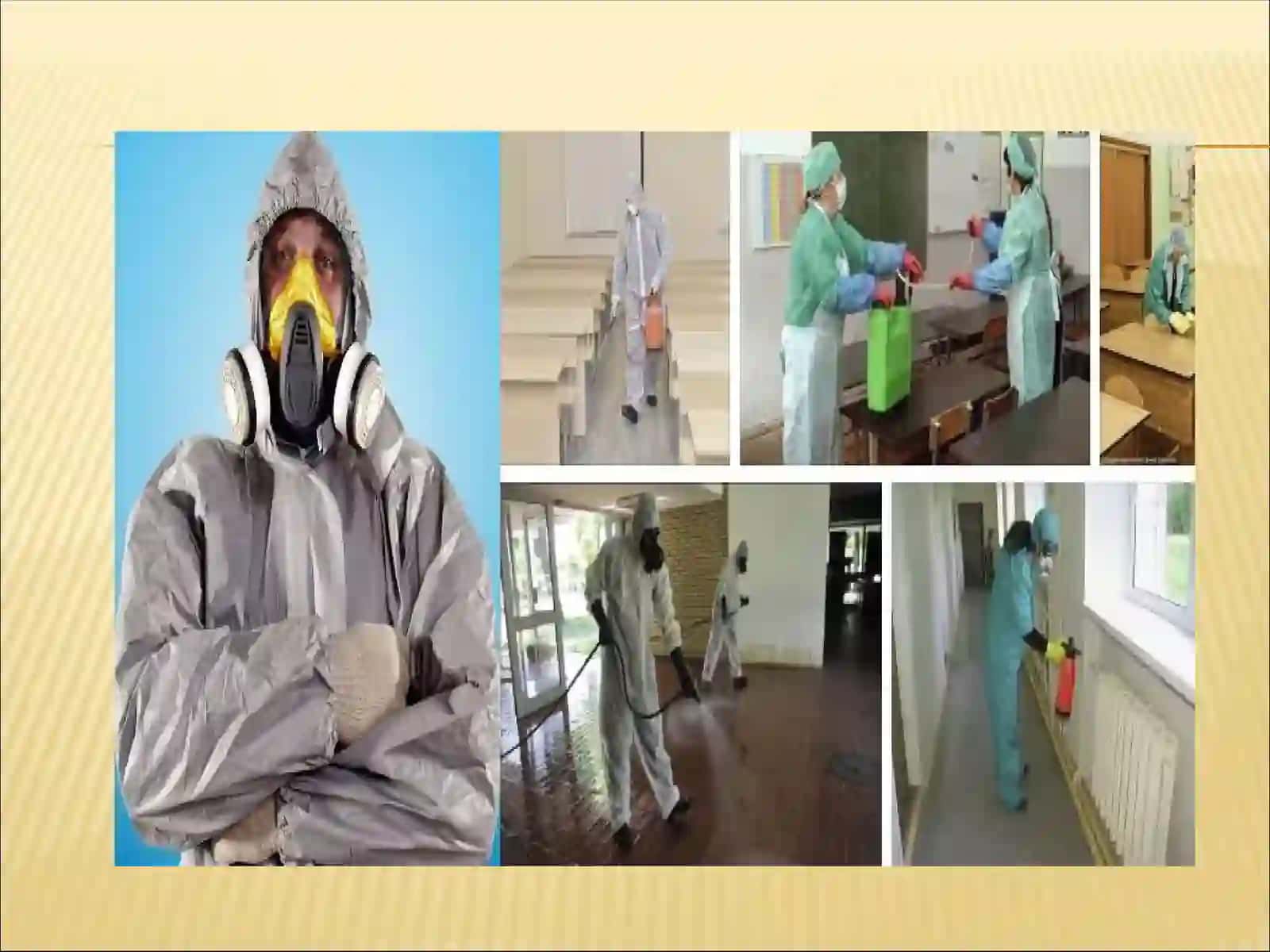 Дезинфекция,дезинсекция,дератизация (ДДД)таърифи 4