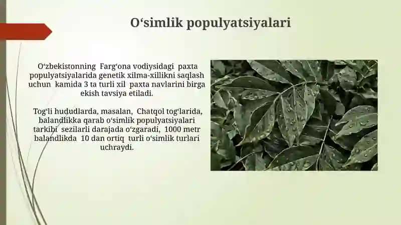 O‘simliklar ekologiyasi asoslari 4