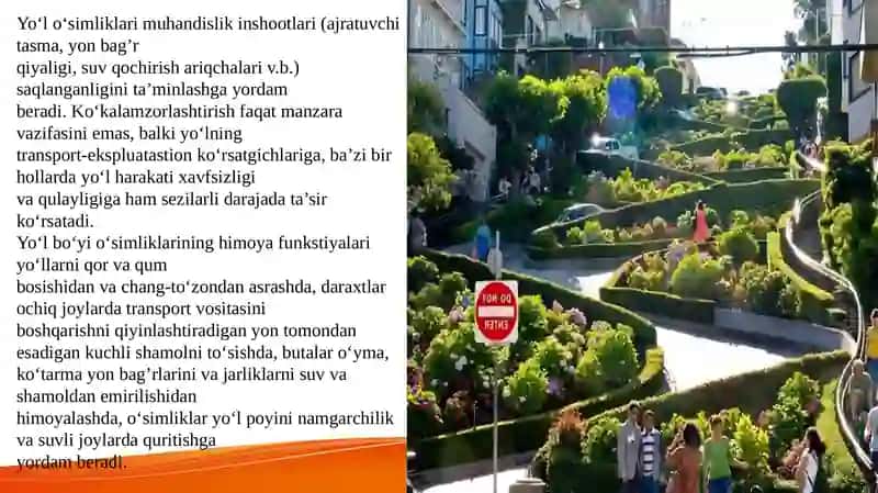 Avtomobil yo’llarini ko’kalamzorlashtirish maqsad va vazifalari 4