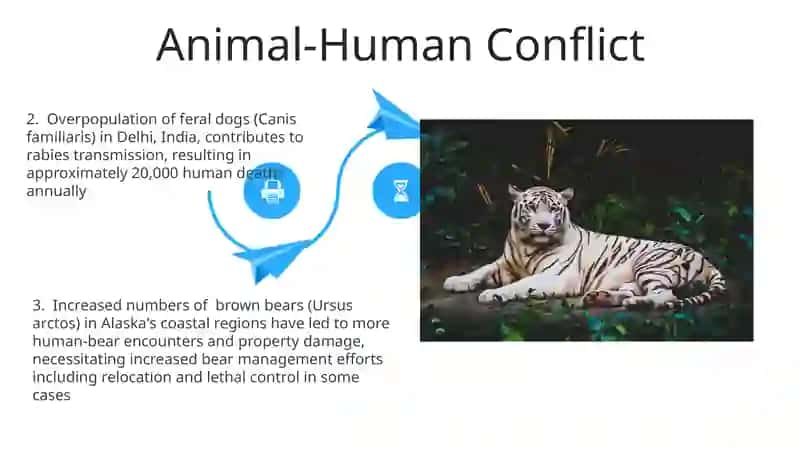 Animal population 4