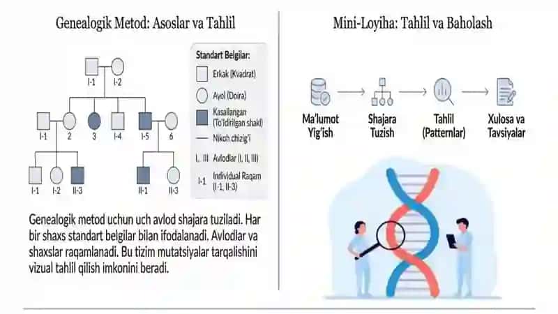 Odam genetikasi genealogik metod va irsiy kasalliklar tahlili 4