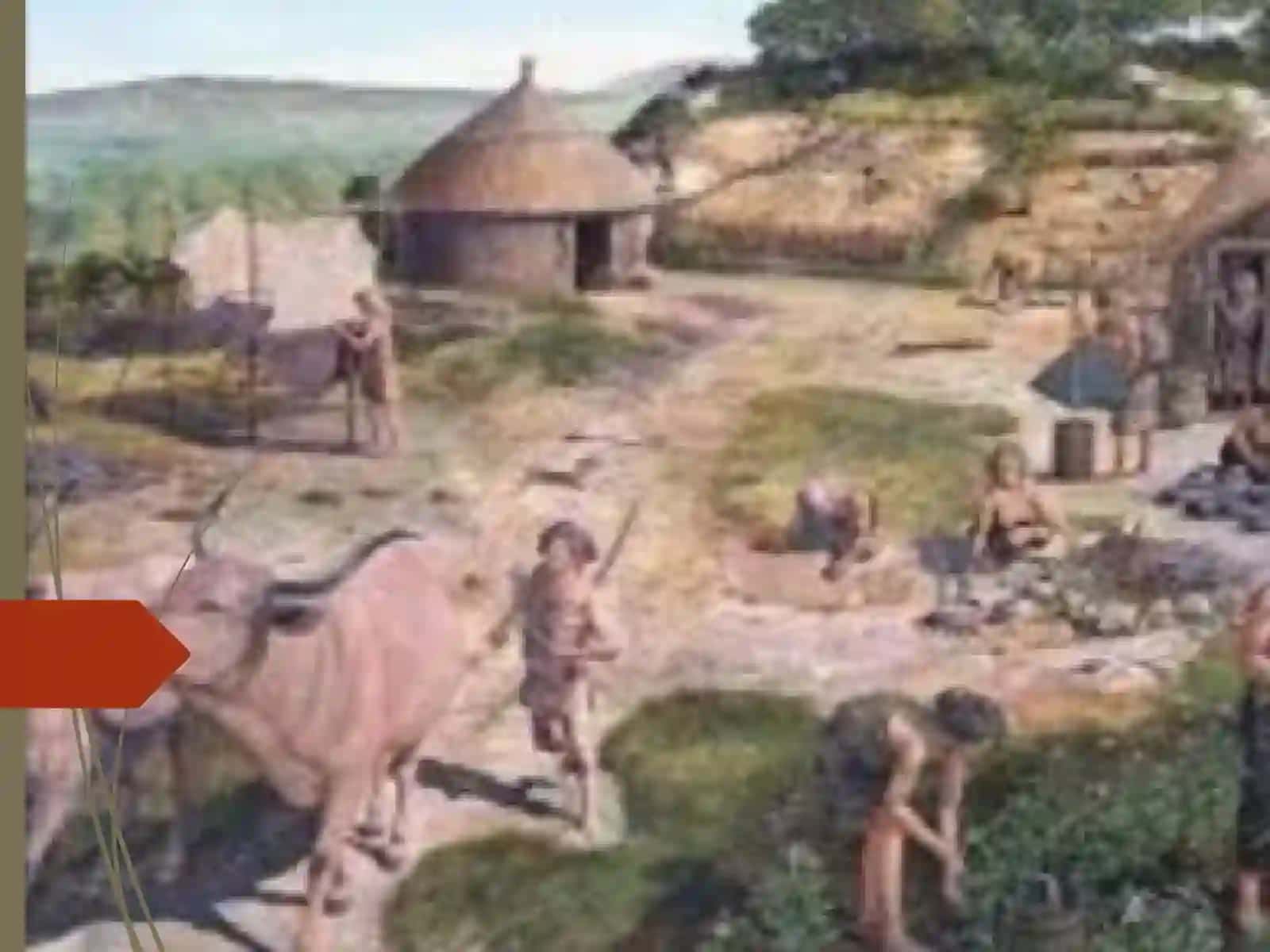 Insan Evolyutsiyasi Paninen Tayarlag'an Prezentatsiya 4