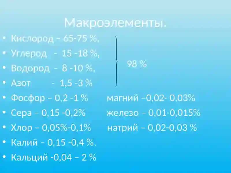 Химический состав клетки 4