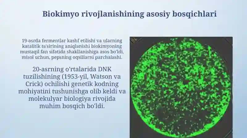 Biokimyo 4