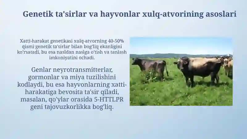 Xulq atvor genetikasi va uning hayvonlar mahsuldorligi bilan bog'liqligi 4