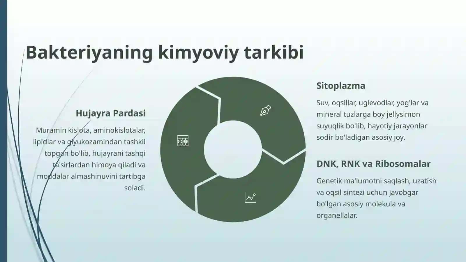 Bakteriyalarning fiziologiyasi, kimyoviy tarkibi, oziqlanishi, o'sishi va ko'payishi 4