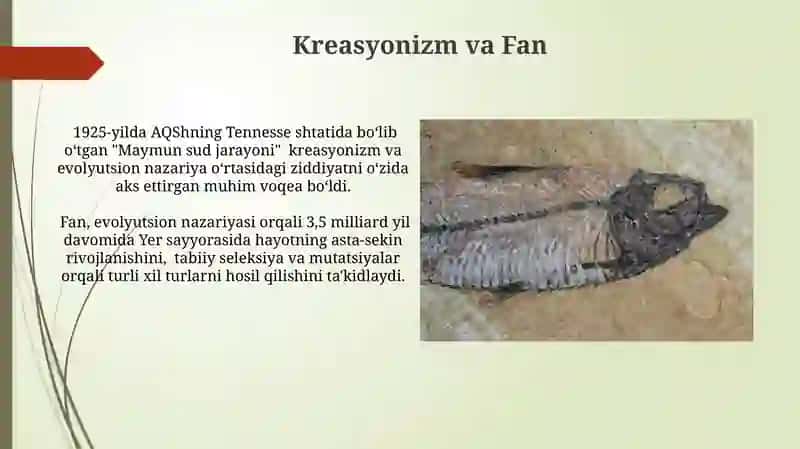 Mutatsiyalar 4