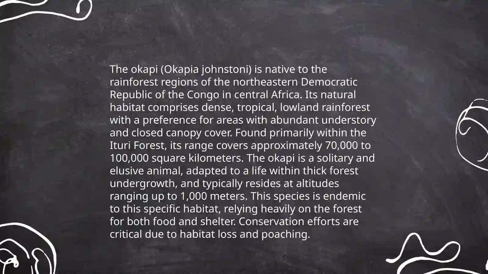 Physical Characteristics of the Okapi 4
