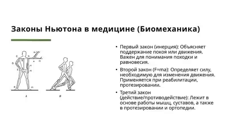 Законы взаимодействия и их значение в медицине 4