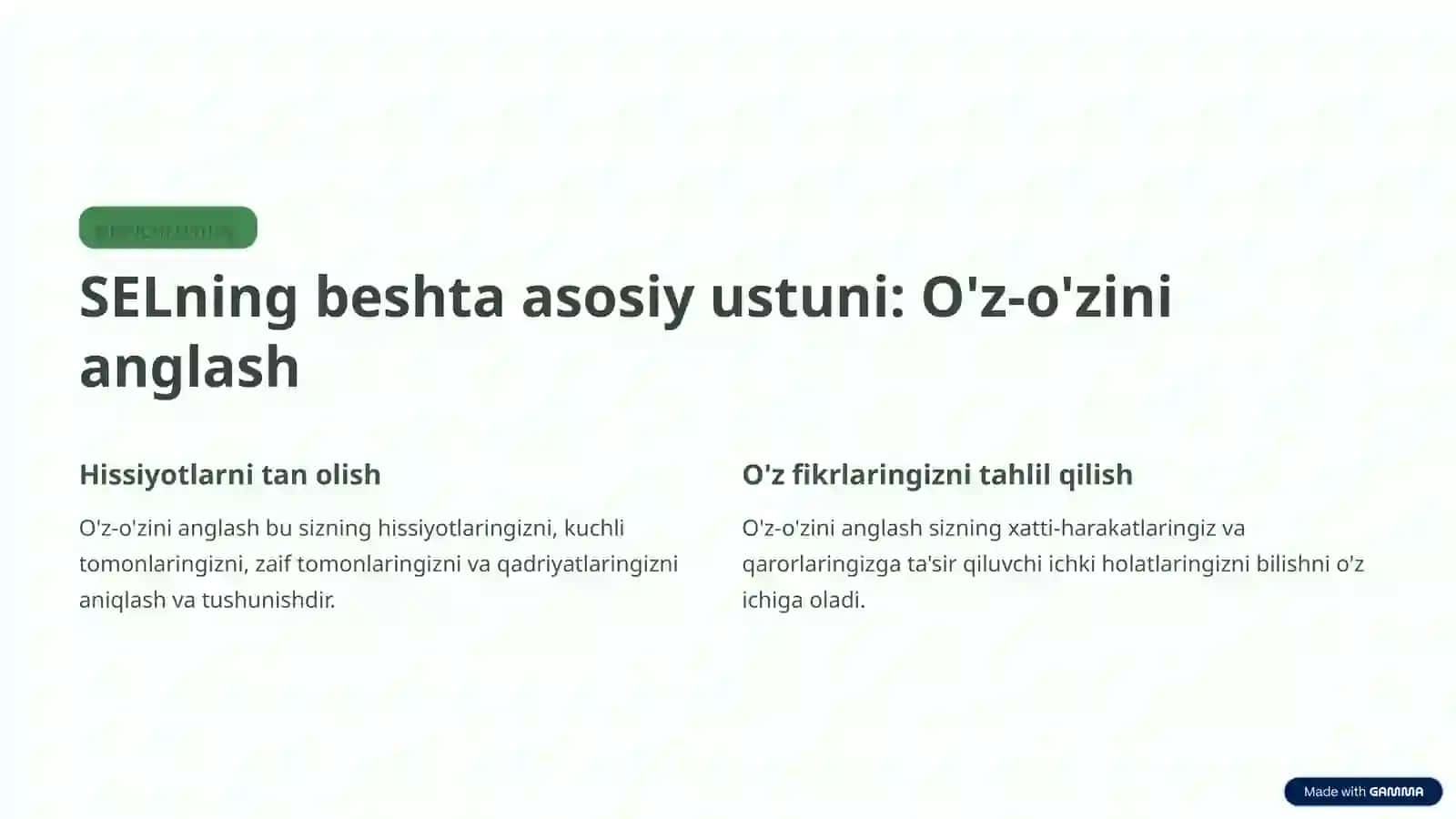 Ijtimoiy-hissiy intellekt (SEL): Hayotiy ko'nikma 4