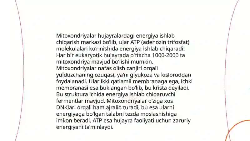 Hujayra organoidlari-mitoxondriya va plastidalar 4