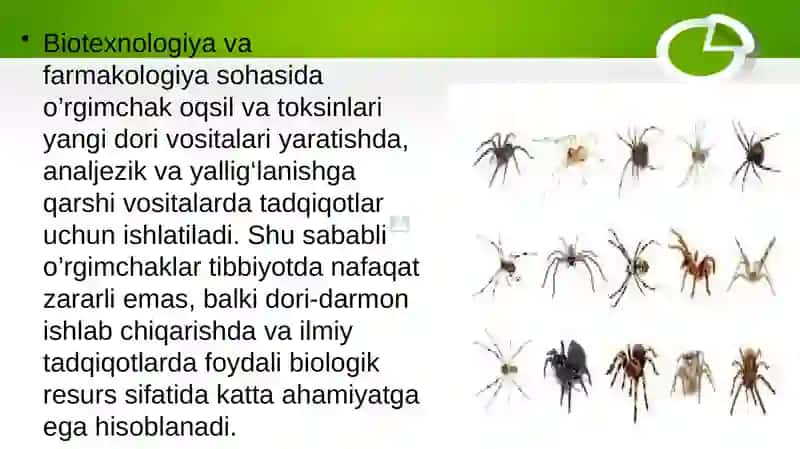 Tibbiyotda ahamiyatga ega bo’lgan o’rgimchaksimonlar ,hashoratlar ,chivinlar,pashshalar ,iskaptoparlar 4