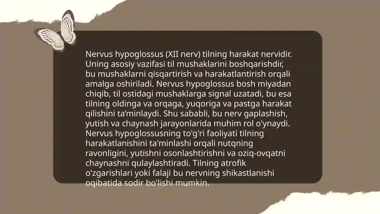 Oʻn ikkinchi nerv til osti nervi (nervus hupoglosus) 4