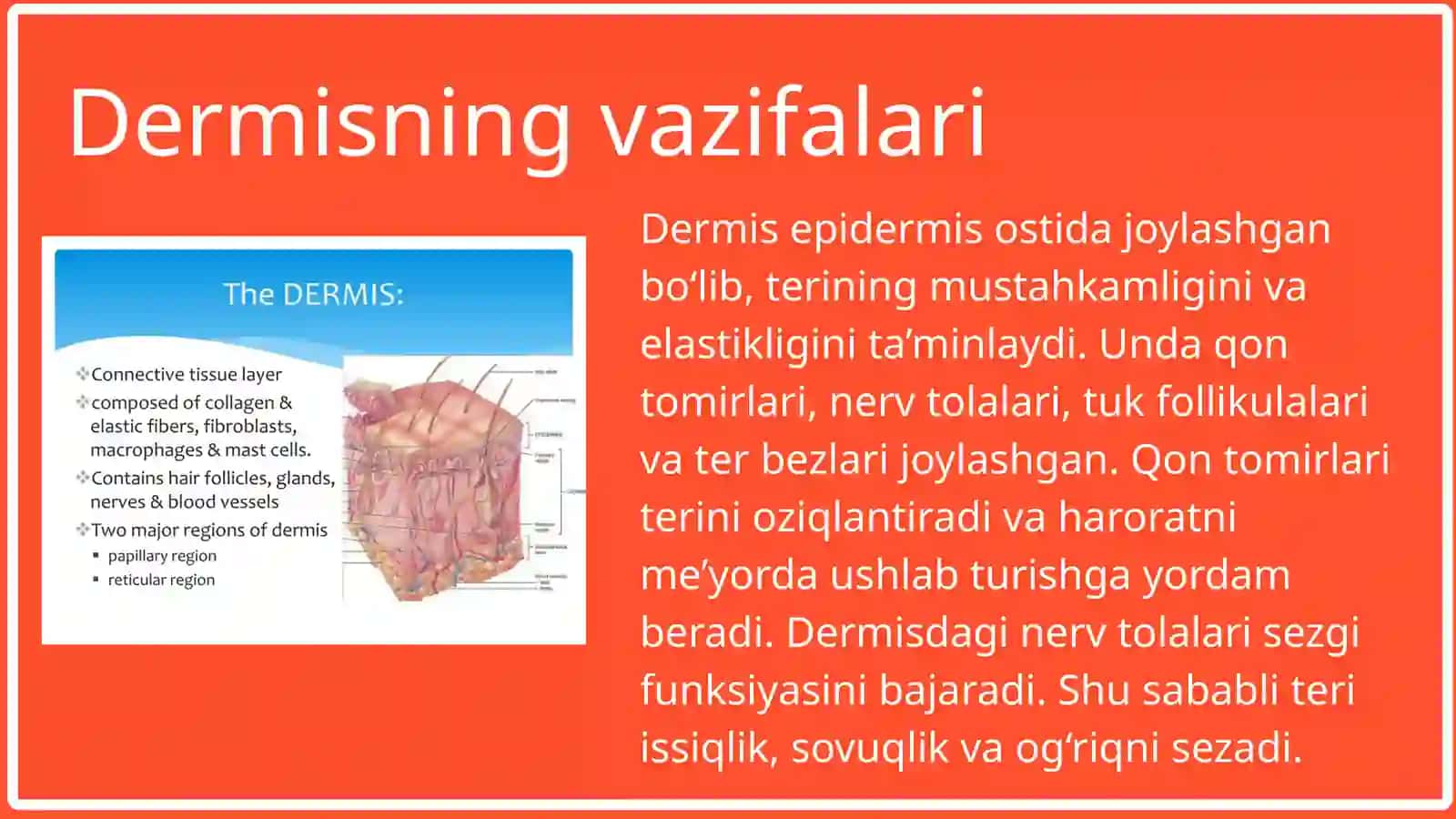 TERI VA UNING HOSILALARI: SOCHLARI, TIRNOQLAR, SUT BEZI 4