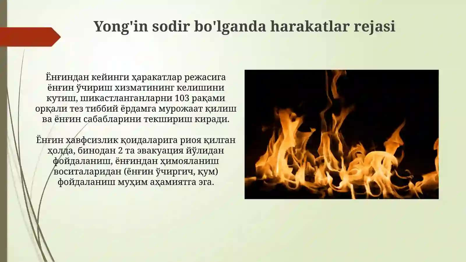 Davlat yong'in havfsizligi hizmati 4