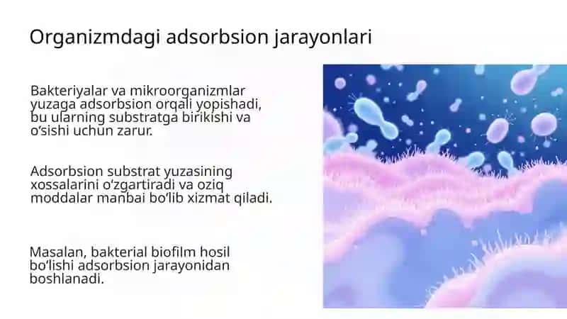 Organizmdagi Adsorbsion Jarayonlari 4