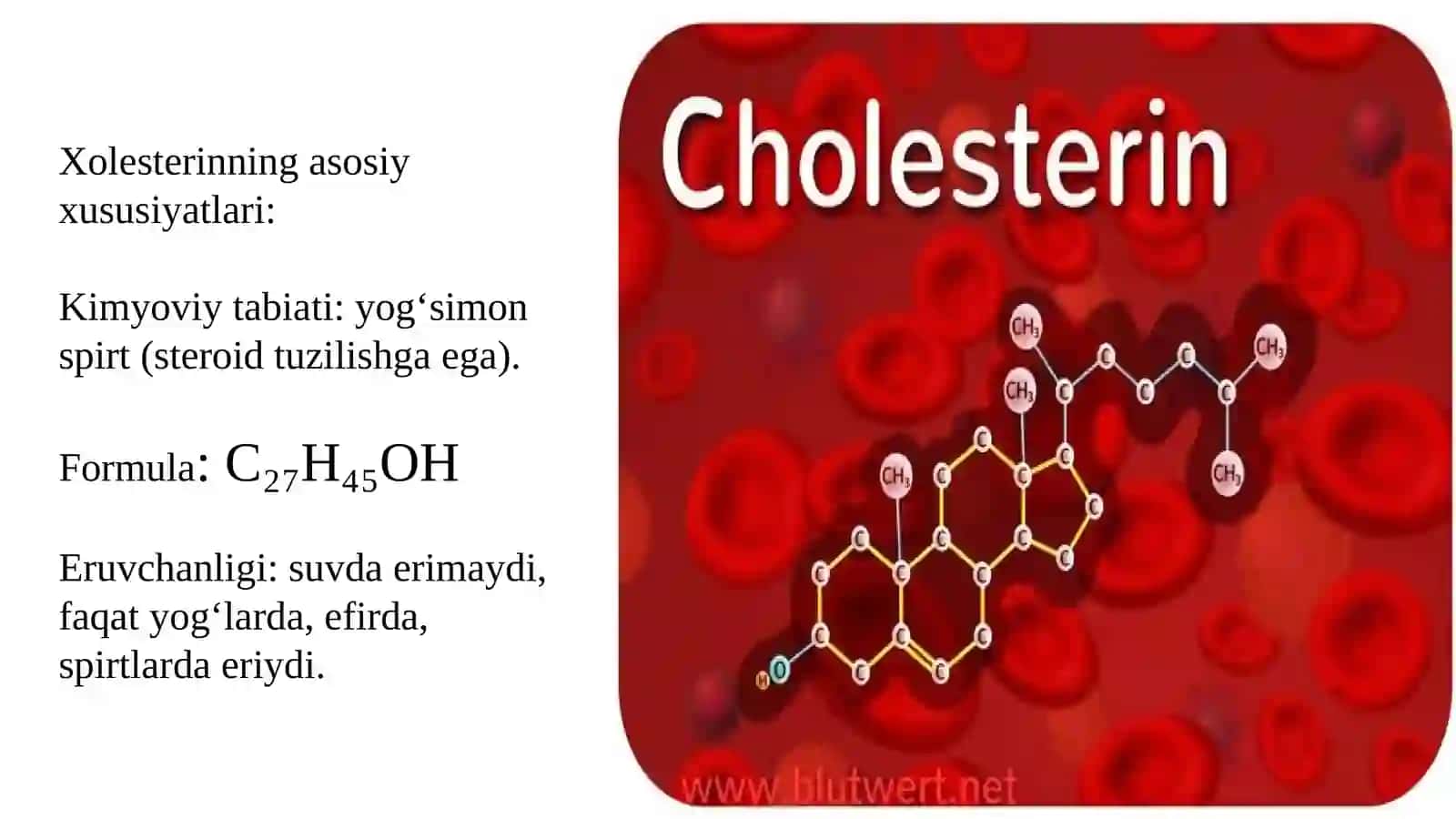 Xolesterin 4