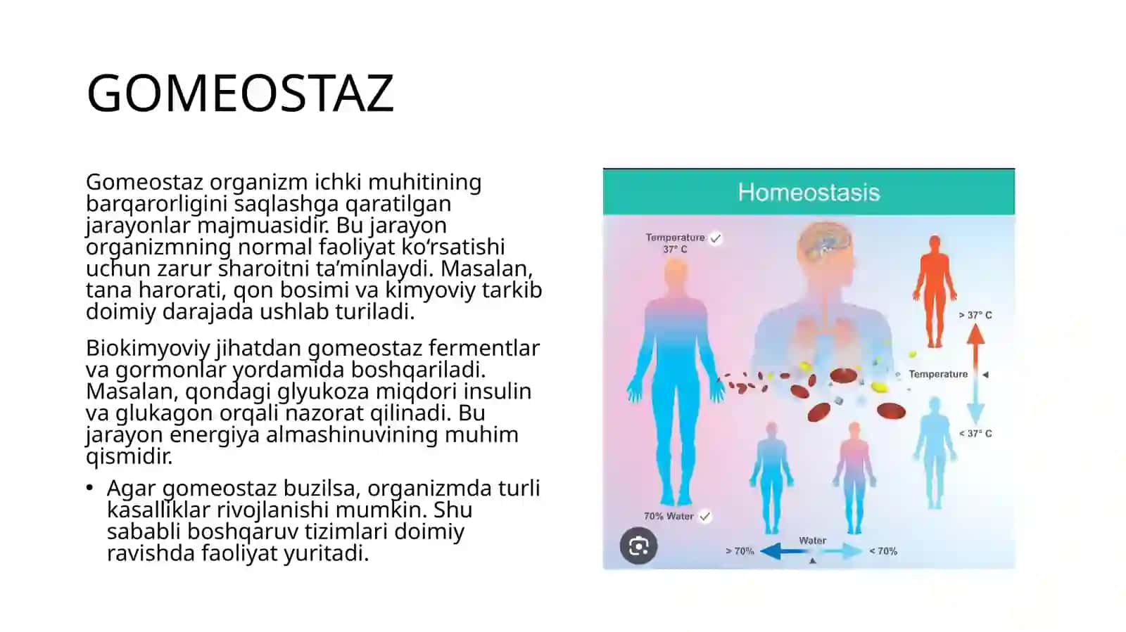 Idoraetishning umumiy tomonlari va idora etuvchi tizimlari arxeyasi 4