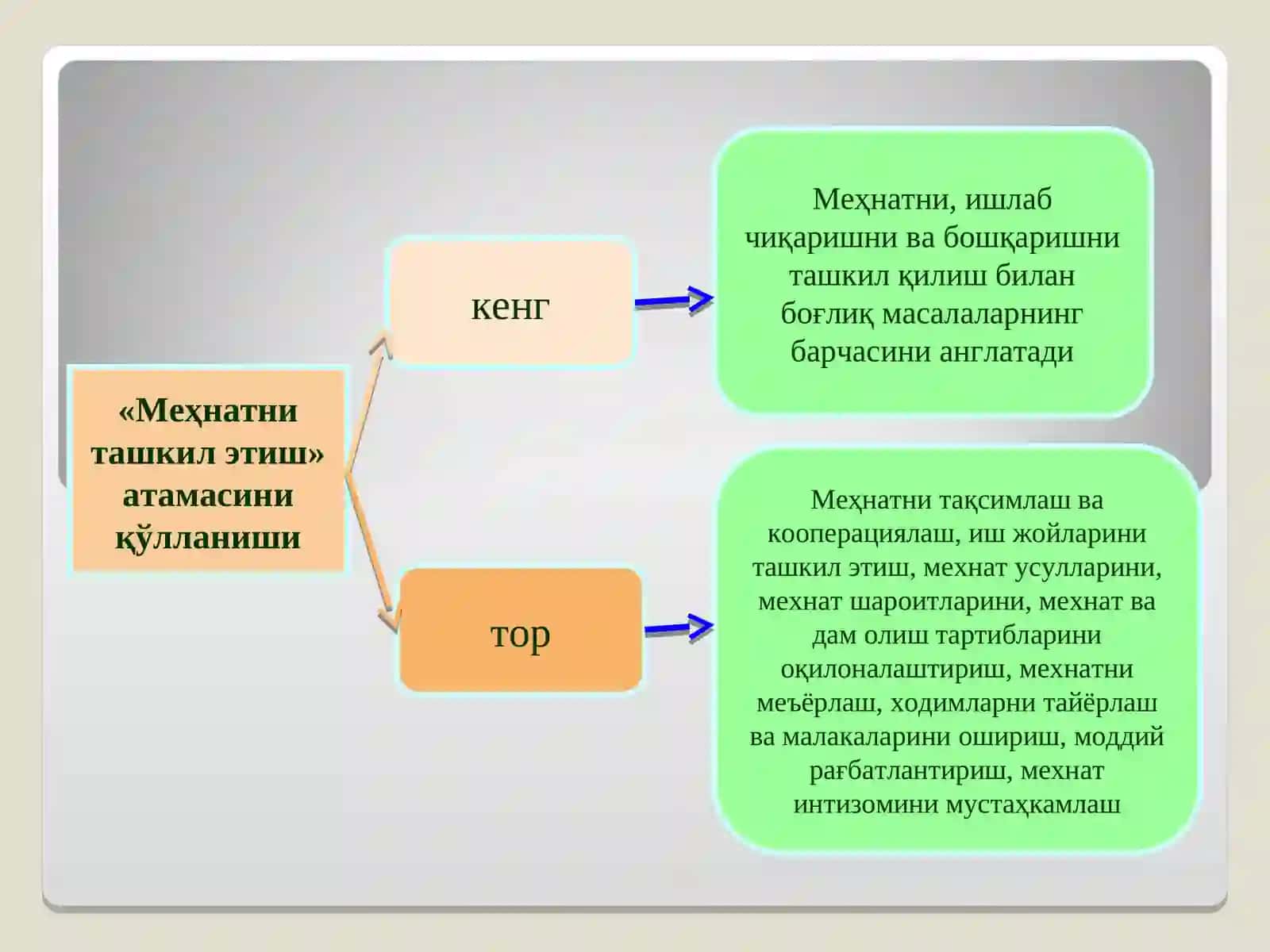 Меҳнатни ташкил этиш 4