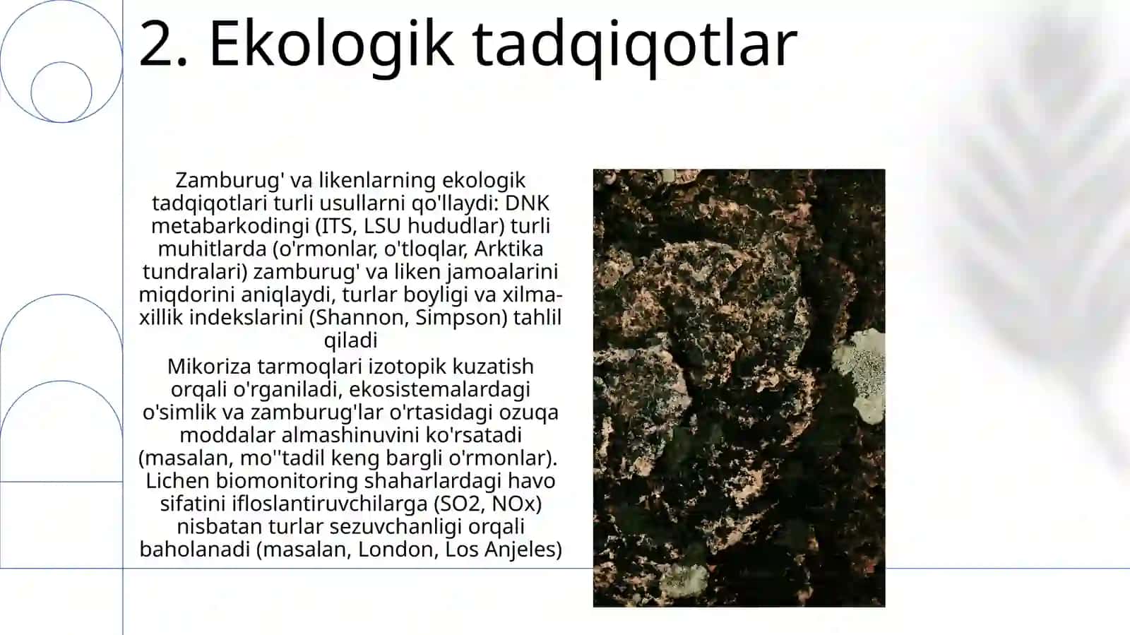 Suvoʻtlar va zamburugʻlarni oʻrganish usullari 4