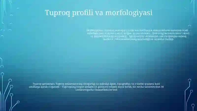 Savanna Va Siyrak Órmon Tuproqlari 4