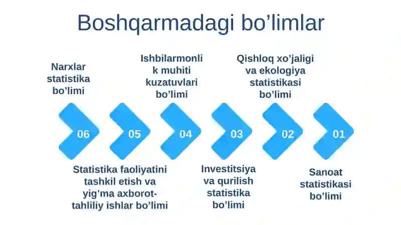 Statistika (tarmoqlar va sohalar bo'yicha) ta'lim yo'nalishi 4