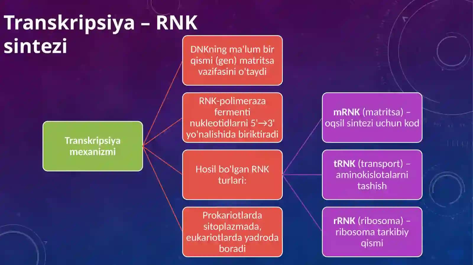 Oqsil biosintezi va nuklein kislotalar biosintezi 4