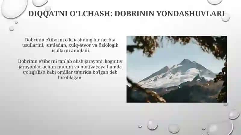 Dobrinnining Diqqat Haqidagi Qarashlari 4