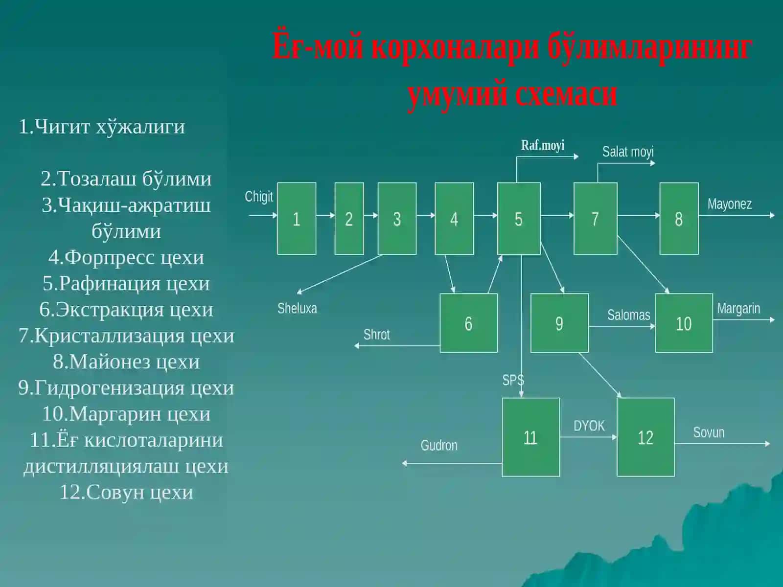 Ўсимлик мойларини ишлаб чиқариш технологияси 4