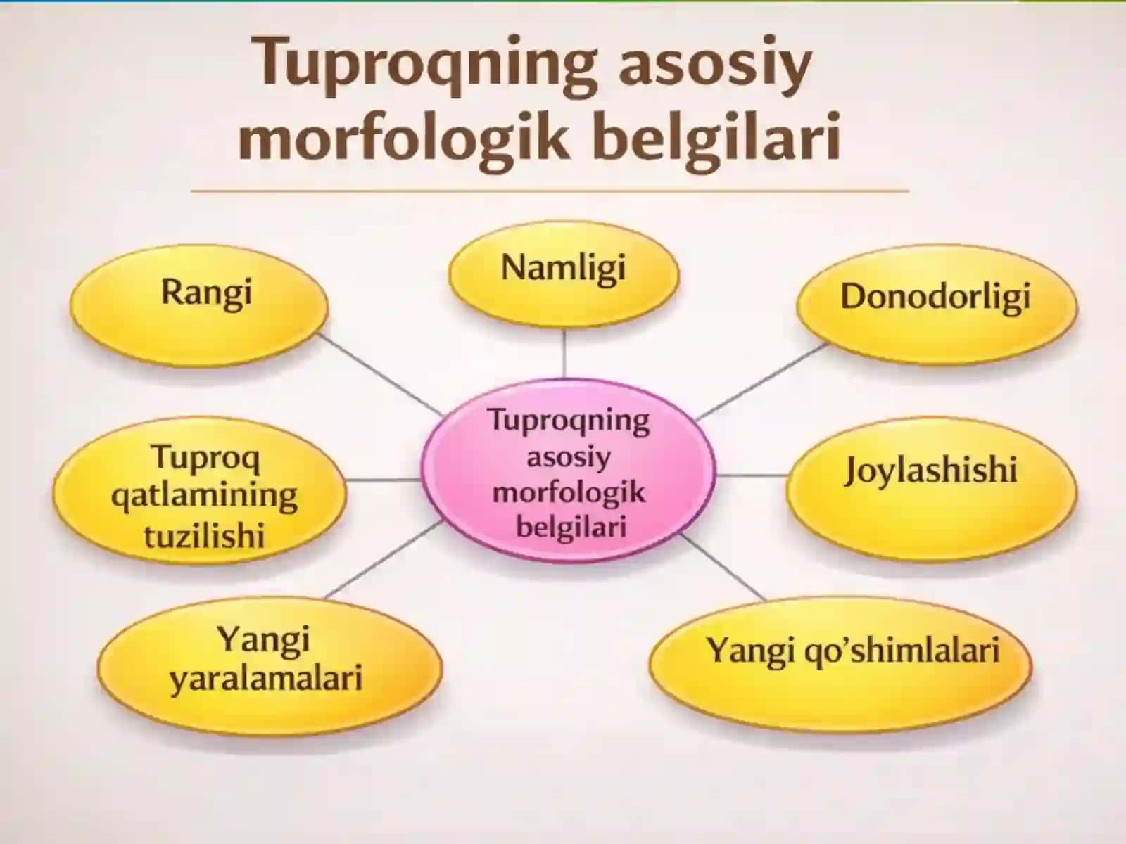 Tuproq gigiyenasi 4