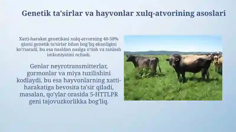 Xulq-atvor genetikasi va hayvonlar mahsuldorligi 4