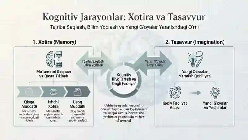 Kognitiv Jarayonlar: Shakllanish va Aks Etirish 4