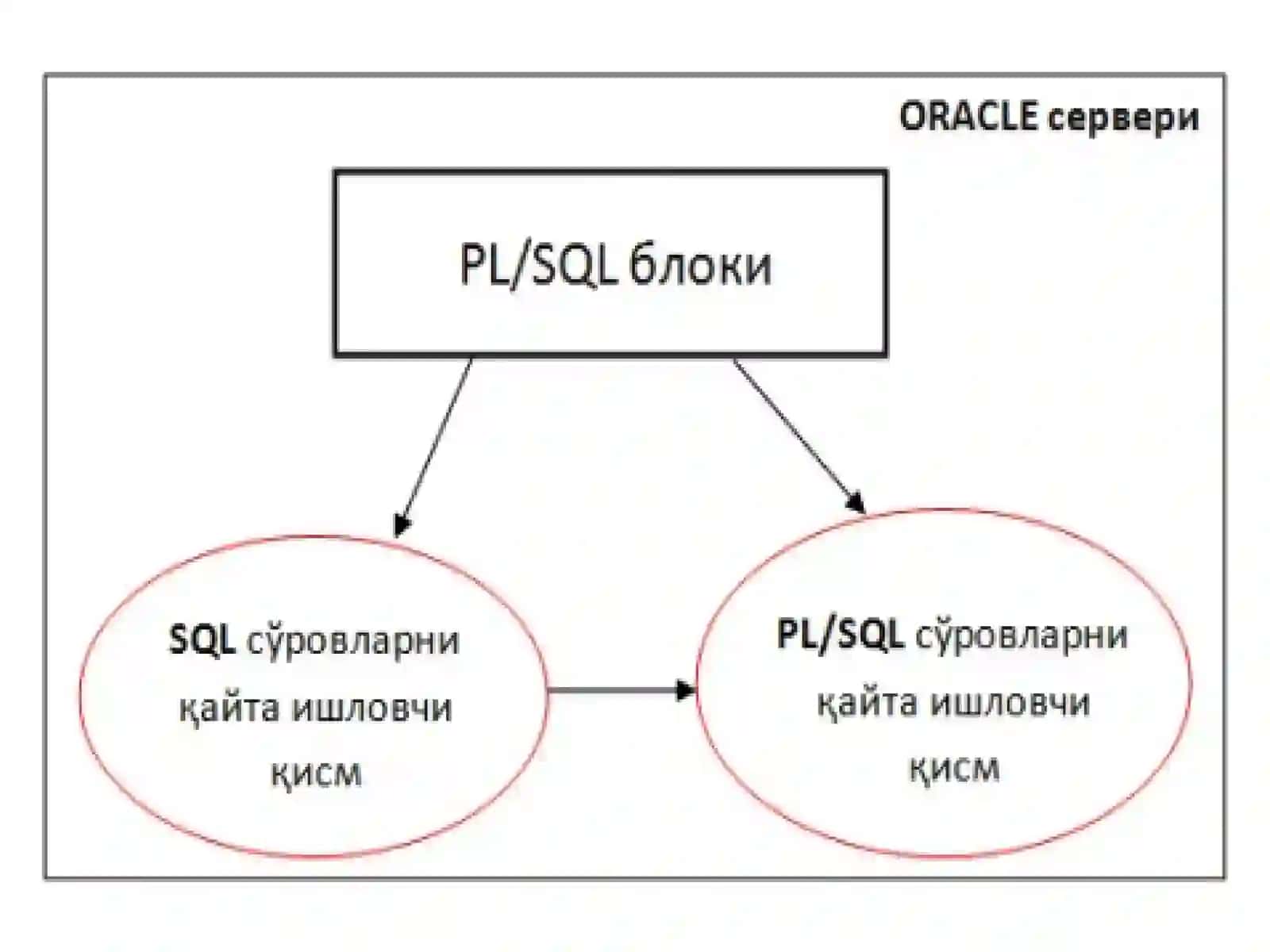 Tranzaksiyalarni boshqrish. Paralel murojaatlarni boshqarish. Ma’lumotlar bazasiga murojaatni tashkil etishda ODBC va C++dan foydalanish. 4