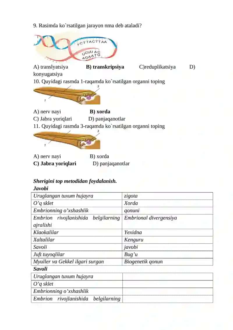 Irsiyat va o`zgaruvchanlik 4