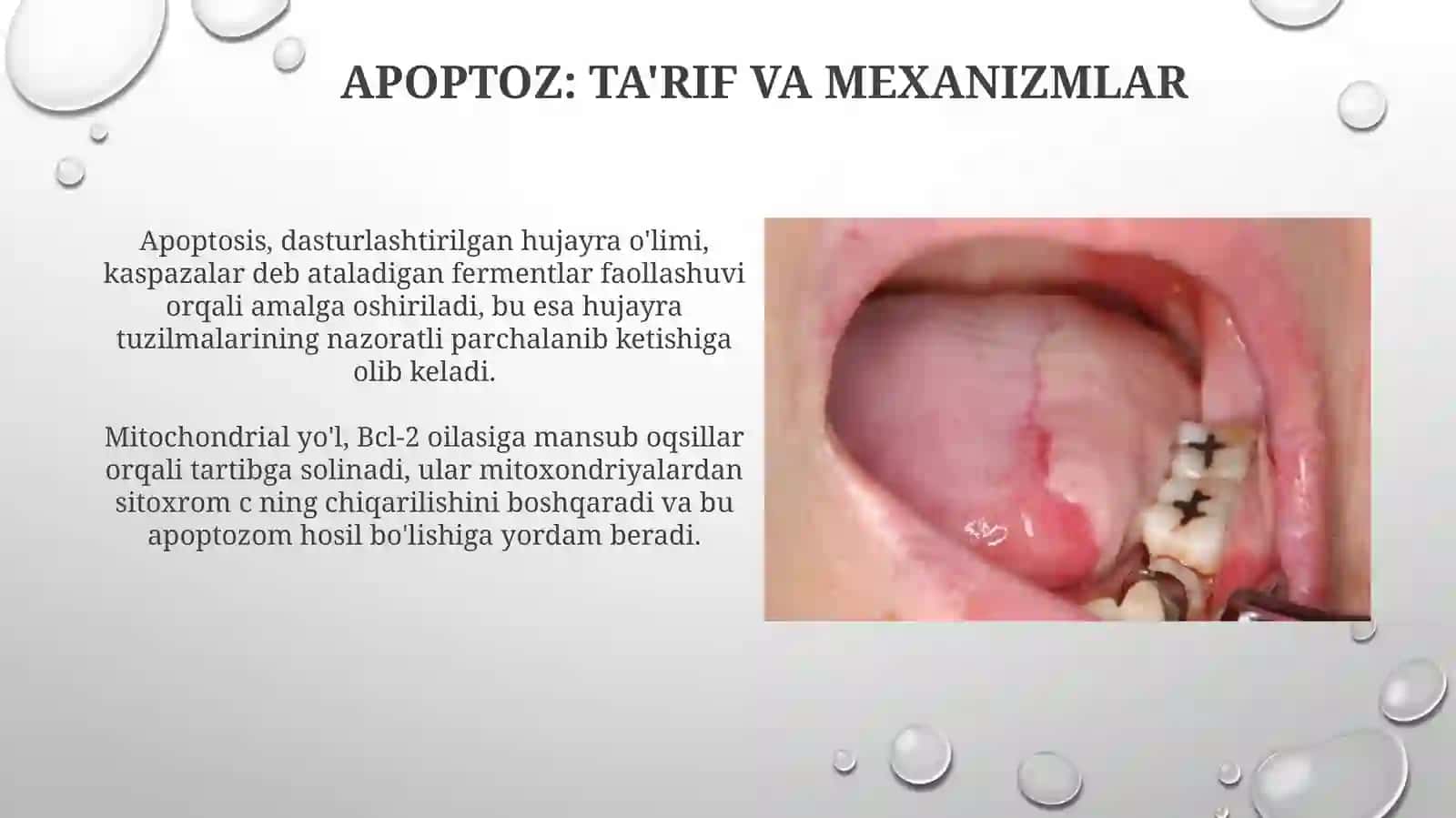 Nekroz va Apoptoz: Asosiy Tushunchalar va Mexanizmlar 4