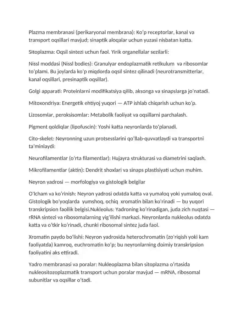 Nerv to'qimasi tuzilishi 4