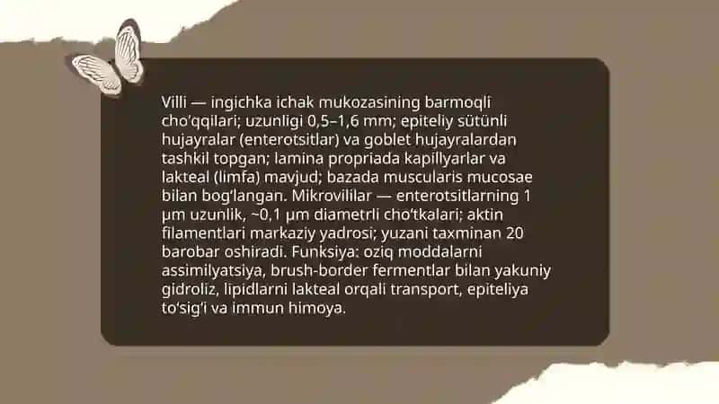 Ingichka ichak va Yog’on ichak gistalogiyasi Normominova Ruhshona 4