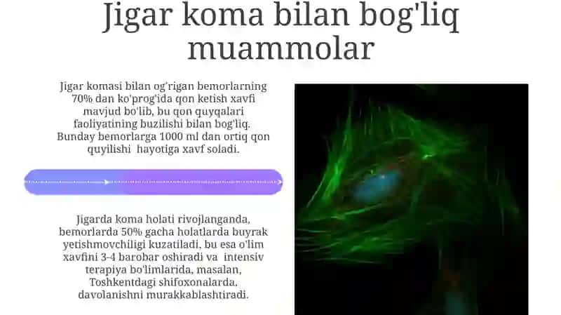 Jigar hujayralarining yetishmovchiligi va jigar koimsiasi vujutga kelishi 4