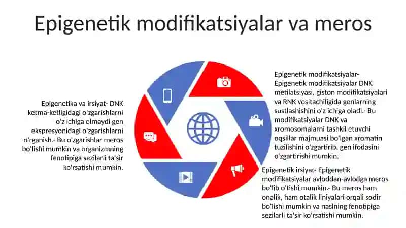 Epigenez Va Preformizm Oqimlari 4