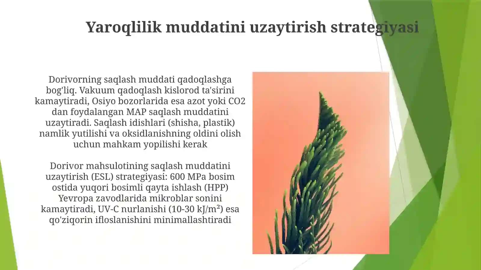 Dorivor oʻsimlik mahsulotlarini idishlarga joylash saqlash qoidalari 4