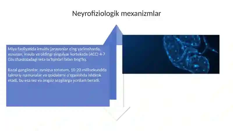 Intuitsiya: Ta'riflar, Turlari va Neyrofiziologiyasi 4