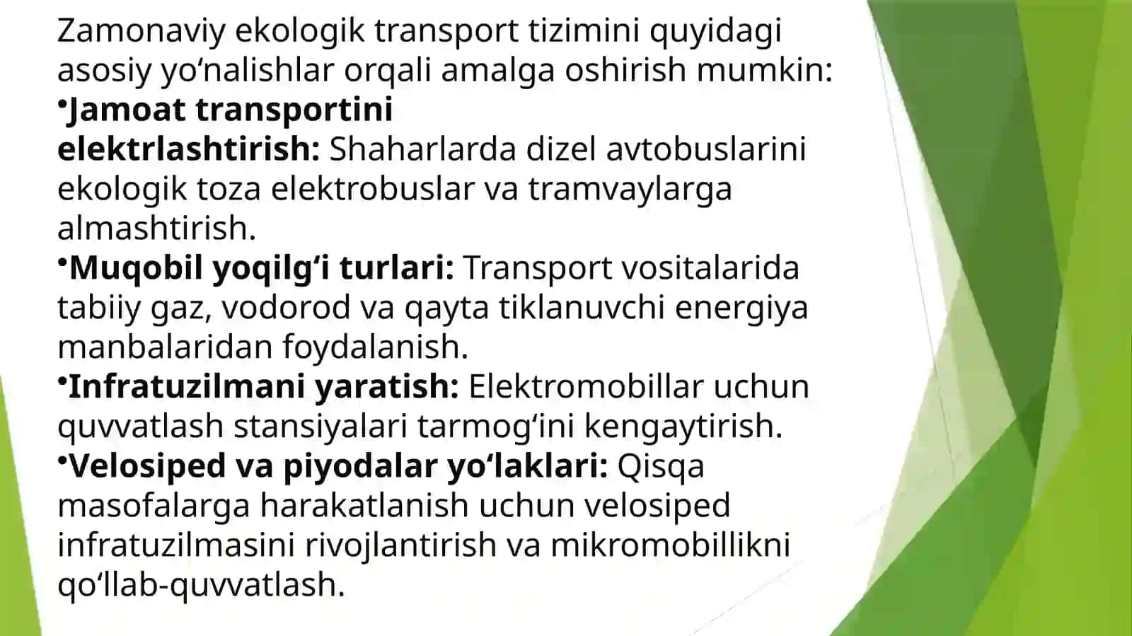 Ekologik toza transport tizimini rivojlantirish 4