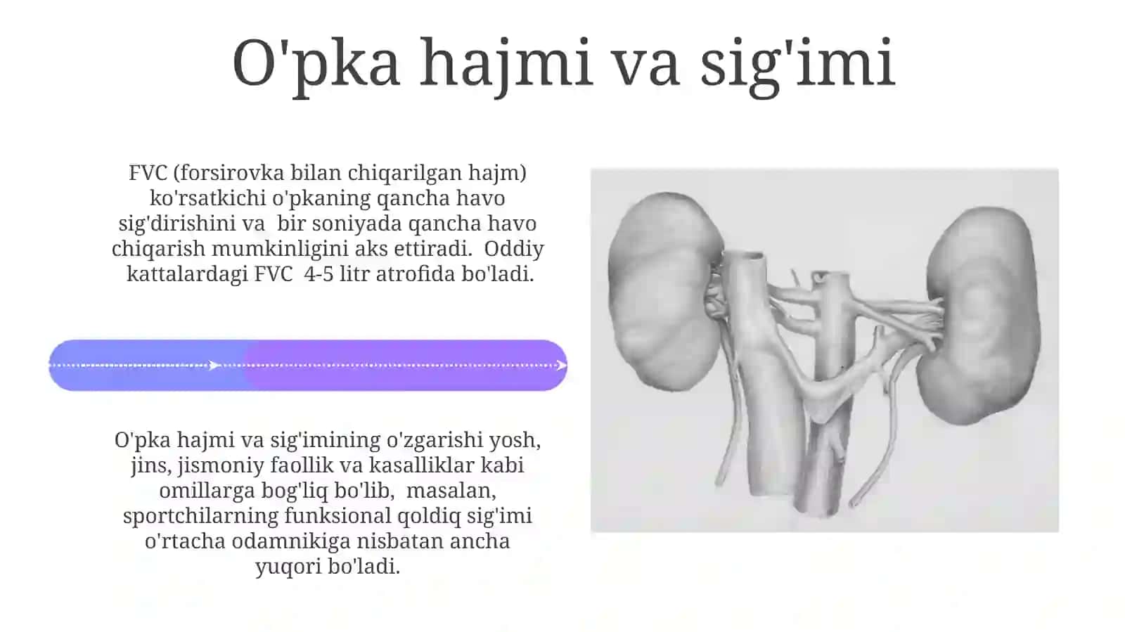 Nafas olish tizimining fiziologiyasi 4