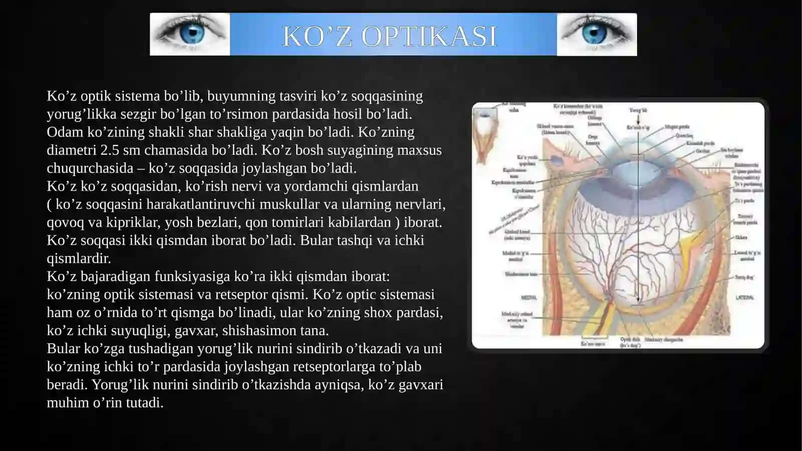 KO’Z-OPTIK SISTEMASI, KO’ZNING SPEKTRAL SEZGIRLIGI 4