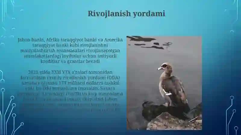 Xalqaro iqtisodiy munosabatlarning asosiy shakllari va yo’nalishlari 4